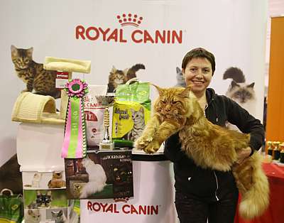 �������� �����  28-29 ������