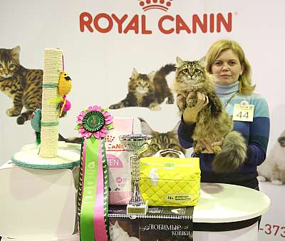 �������� �����  28-29 ������