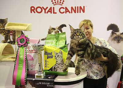 �������� �����  28-29 ������