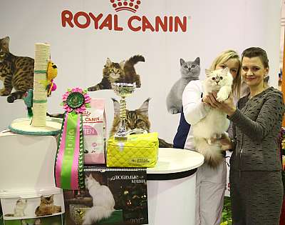 �������� �����  28-29 ������