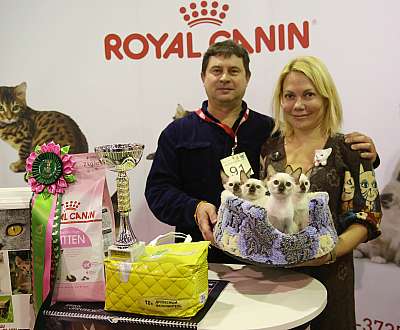 �������� �����  28-29 ������