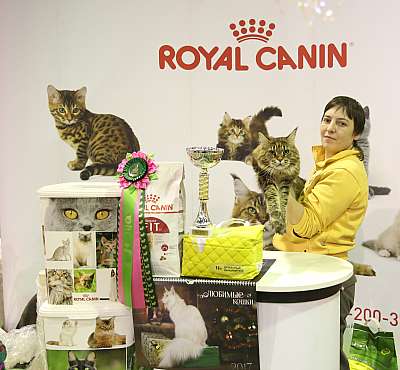 �������� �����  28-29 ������