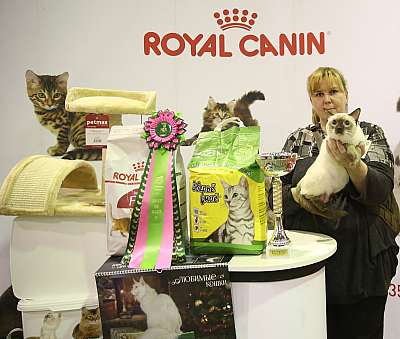 �������� �����  28-29 ������