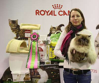 �������� �����  28-29 ������