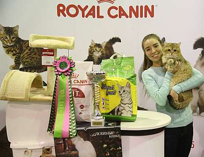 �������� �����  28-29 ������