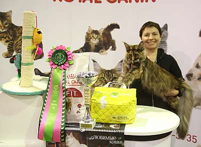 �������� �����  28-29 ������