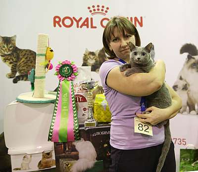 �������� �����  28-29 ������