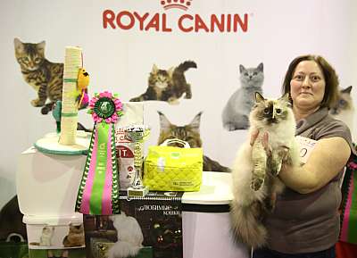 �������� �����  28-29 ������