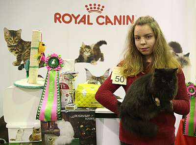 �������� �����  28-29 ������