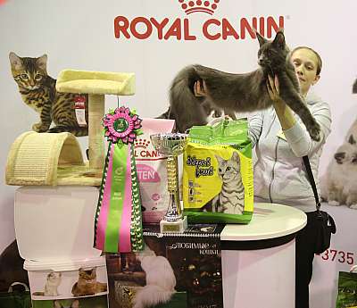 �������� �����  28-29 ������