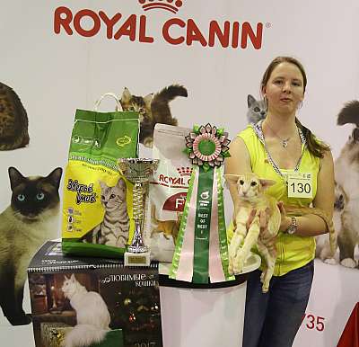 �������� �����  28-29 ������