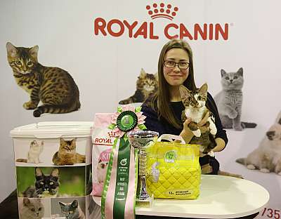 �������� �����  28-29 ������