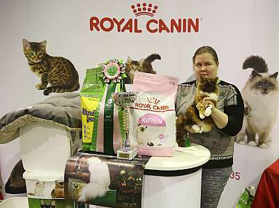 �������� �����  28-29 ������