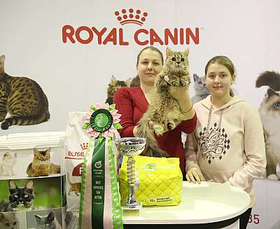 �������� �����  28-29 ������