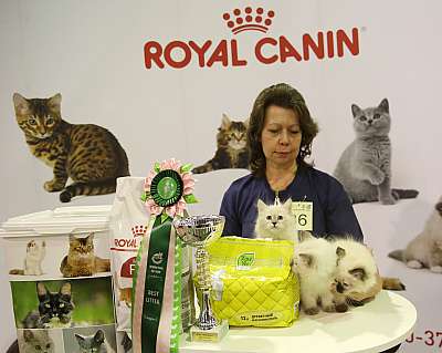 �������� �����  28-29 ������