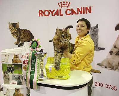 �������� �����  28-29 ������