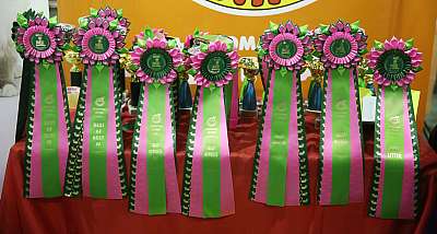 �������� �����  28-29 ������