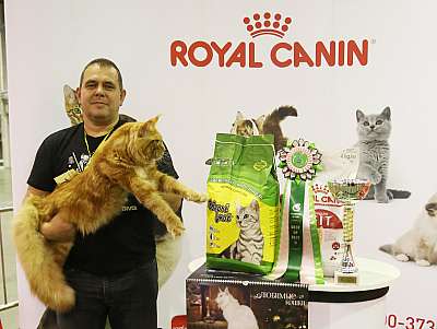 �������� �����  28-29 ������