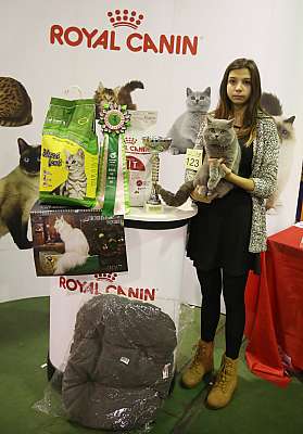 �������� �����  28-29 ������