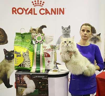 �������� �����  28-29 ������