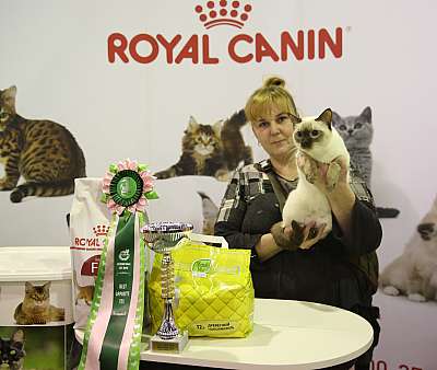 �������� �����  28-29 ������