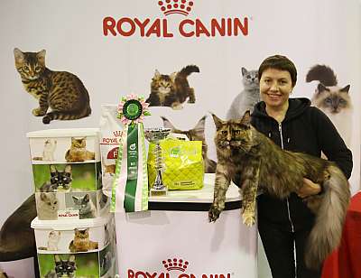 �������� �����  28-29 ������