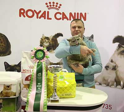 �������� �����  28-29 ������