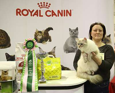 �������� �����  28-29 ������