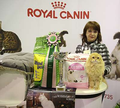 �������� �����  28-29 ������