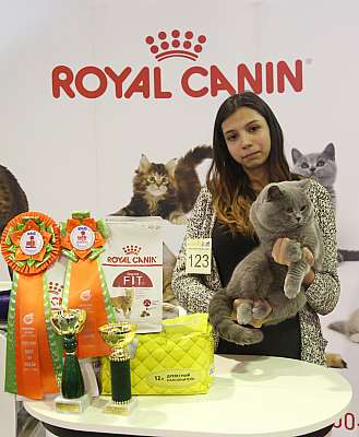 �������� �����  28-29 ������