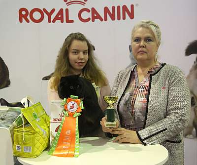 �������� �����  28-29 ������