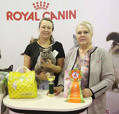 �������� �����  28-29 ������