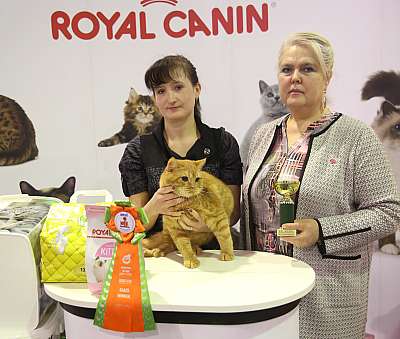 �������� �����  28-29 ������