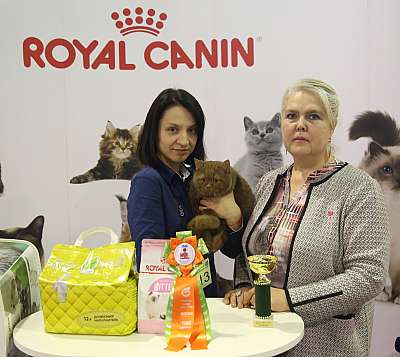 �������� �����  28-29 ������