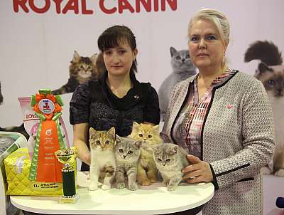 �������� �����  28-29 ������