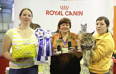 �������� �����  28-29 ������