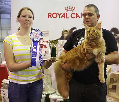 �������� �����  28-29 ������