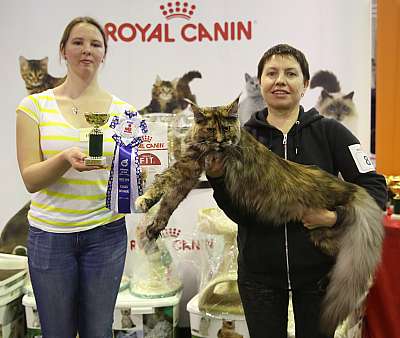 �������� �����  28-29 ������