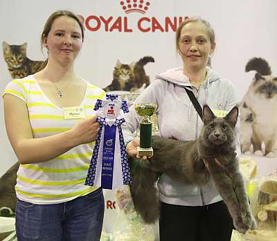 �������� �����  28-29 ������