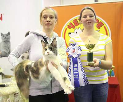 �������� �����  28-29 ������