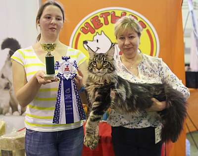 �������� �����  28-29 ������