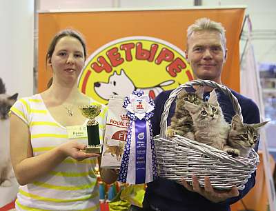 �������� �����  28-29 ������