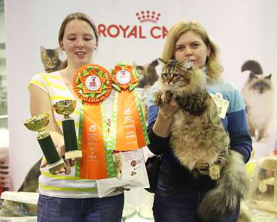 �������� �����  28-29 ������