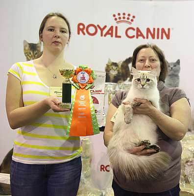 �������� �����  28-29 ������