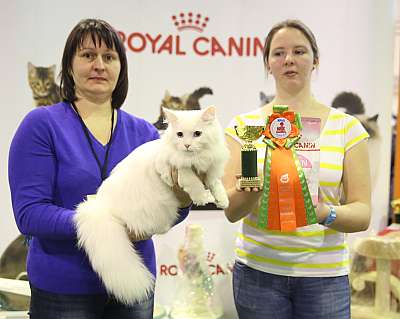 �������� �����  28-29 ������