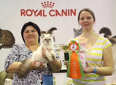 �������� �����  28-29 ������