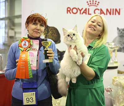 �������� �����  28-29 ������