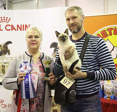 �������� �����  28-29 ������