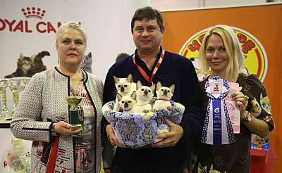 �������� �����  28-29 ������