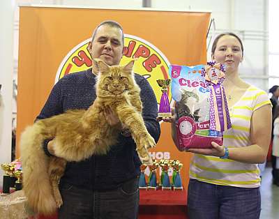 �������� �����  28-29 ������